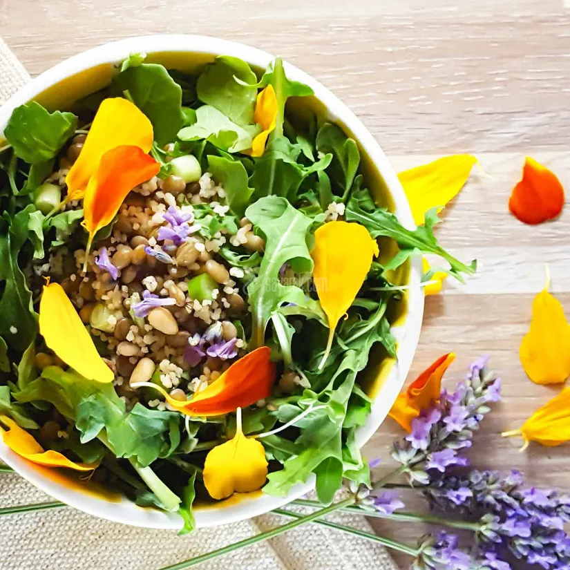 lentil-salad-lemon-flowers-couscous.jpg