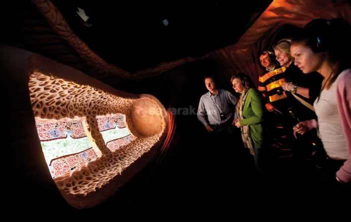 موزه بدن انسان در هلند