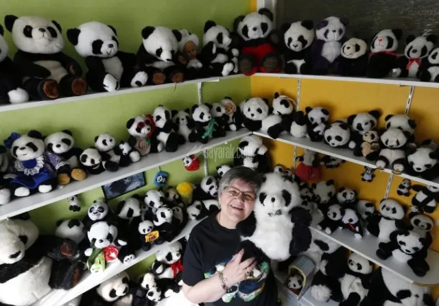 panda_collection.jpg