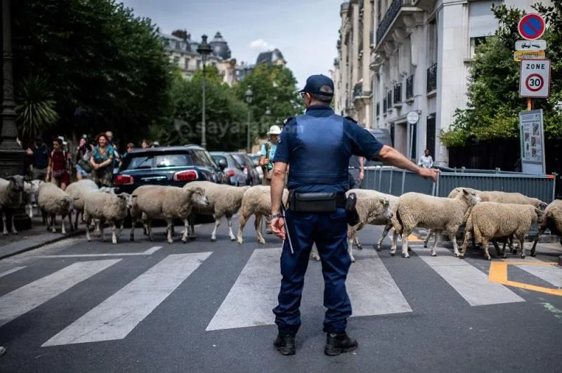 عکس های خنده دار از خیابان های پاریس
