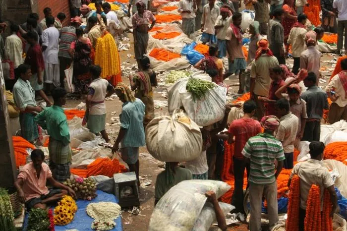 گنگ غذای بیش از 400 میلیون هندی را تأمین می کند