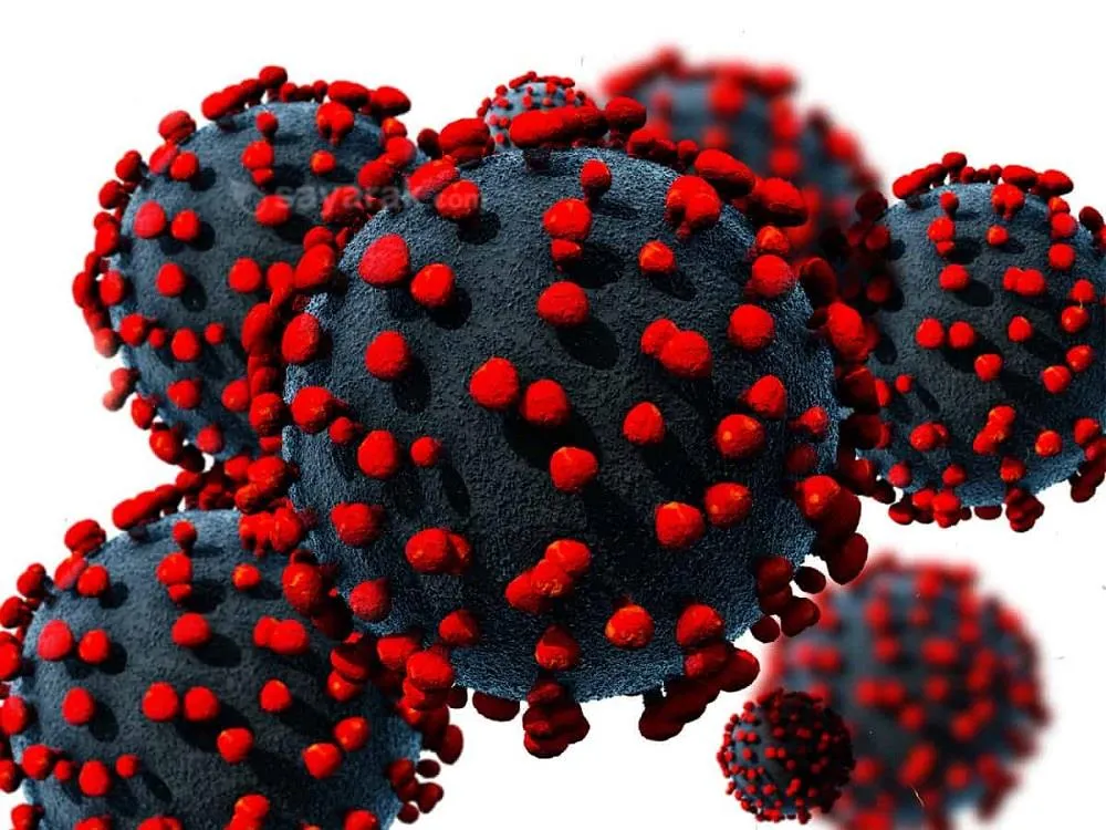 روند بیماری ناشی از کروناویروس غیرقابل پیش بینی است