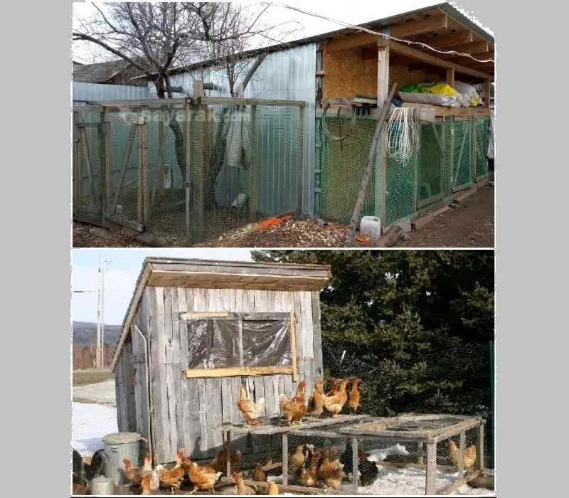 نحوه تبدیل لانه مرغ به دکوراسیون اصلی باغ