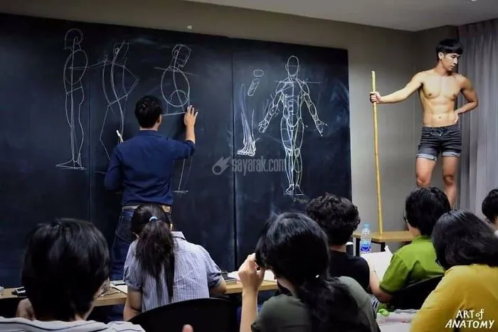 نقاشی آناتومی در تایلند
